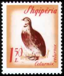 阿尔巴尼亚普通鹌鹑邮票