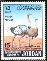约旦鸵鸟邮票