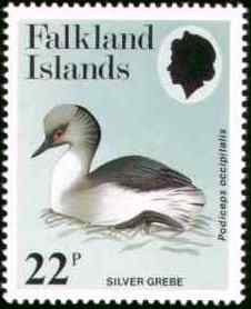 英国银鸊鷉邮票