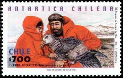 智利阿德利企鹅邮票