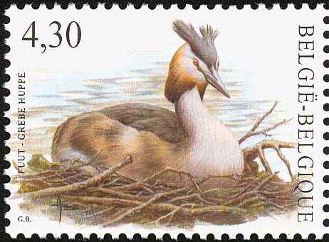 比利时凤头鸊鷉邮票