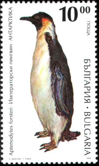 帝企鹅邮票集三(8枚)