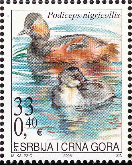 塞尔维亚黑颈鸊鷉邮票