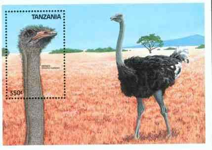 坦桑尼亚鸵鸟邮票