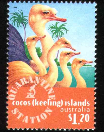 澳大利亚鸵鸟邮票