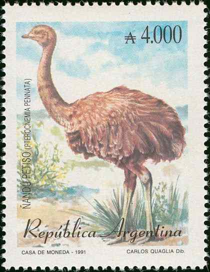 阿根廷小美洲鸵邮票
