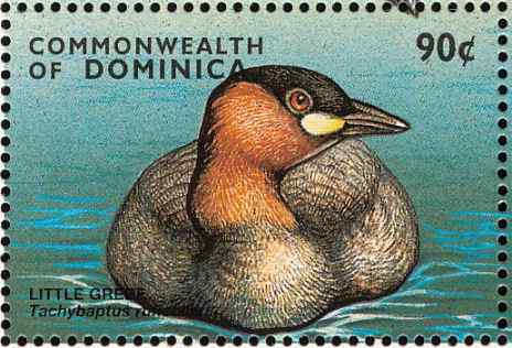 多米尼加小鸊鷉邮票