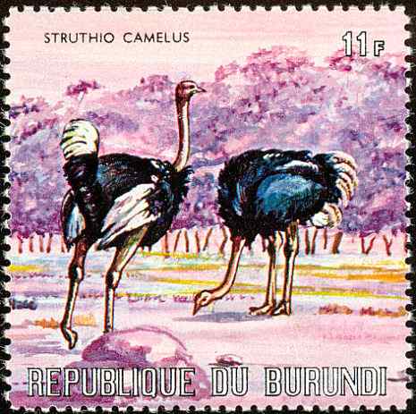 布隆迪鸵鸟邮票
