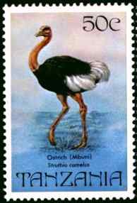 坦桑尼亚鸵鸟邮票