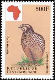 中非普通鹌鹑邮票