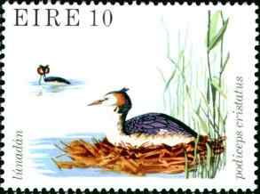 爱尔兰凤头鸊鷉邮票