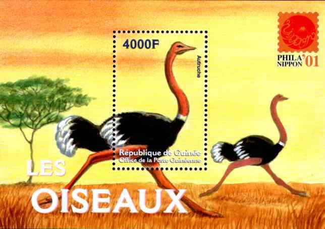 几内亚鸵鸟邮票