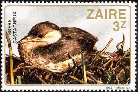 扎伊尔小鸊鷉邮票
