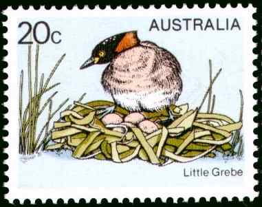 澳大利亚黑喉小鸊鷉邮票