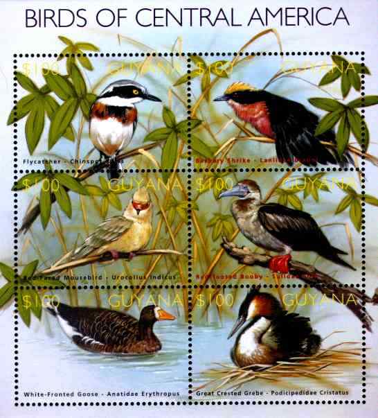 圭亚那凤头鸊鷉邮票