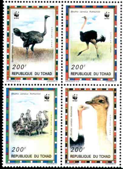 乍得鸵鸟邮票