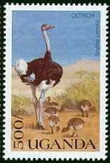乌干达鸵鸟邮票