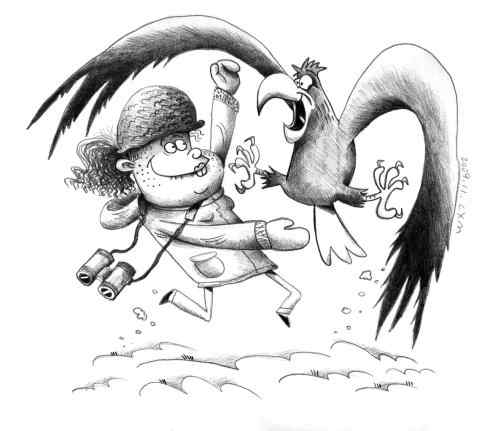 鸟人漫画：两个朋友