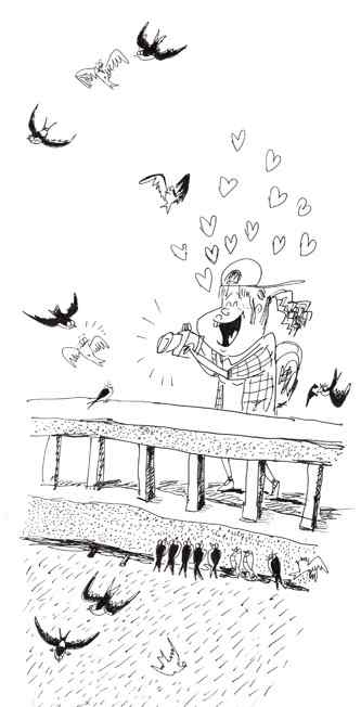 得到豁免权的鸟 得到豁免权的鸟