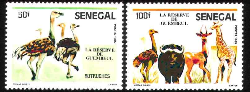 塞内加尔朱迪鸟类国家公园