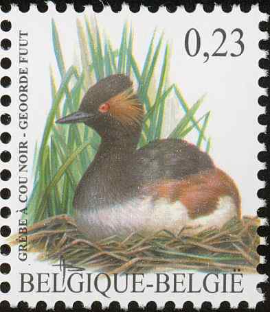比利时黑颈鸊鷉邮票