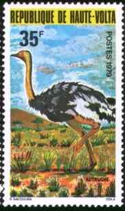 布基纳法索鸵鸟邮票