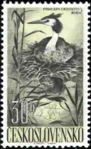 捷克凤头鸊鷉邮票