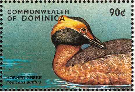 多米尼加角鸊鷉邮票