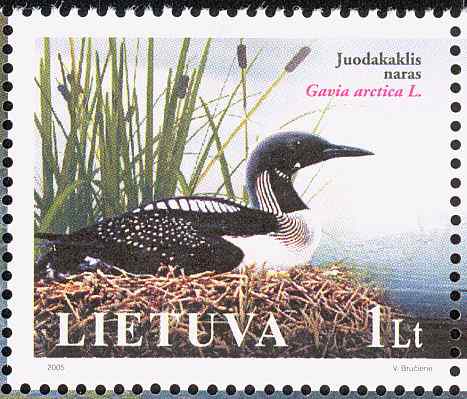 立陶宛黑喉潜鸟邮票