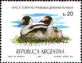 阿根廷阿根廷鸊鷉邮票