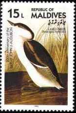 马尔代夫黑颈鸊鷉邮票