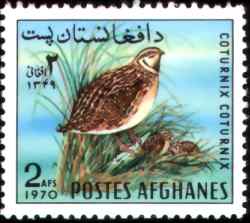 阿富汗普通鹌鹑邮票
