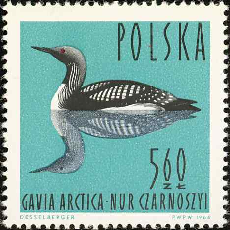 波兰黑喉潜鸟邮票