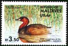 马尔代夫小鸊鷉邮票