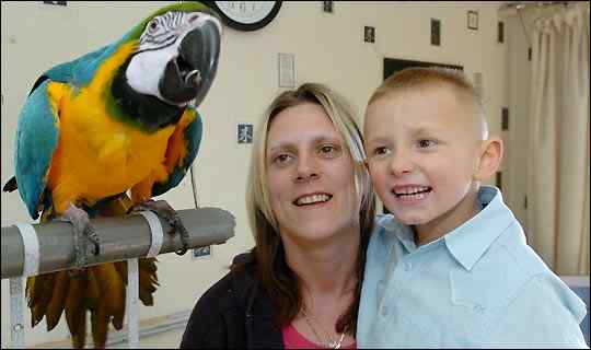 聪明鹦鹉教会4岁孤独症男童开口说话