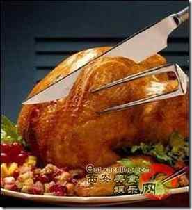 感恩节食火鸡