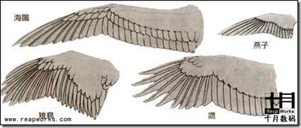 Maya：鸟类的骨骼绑定