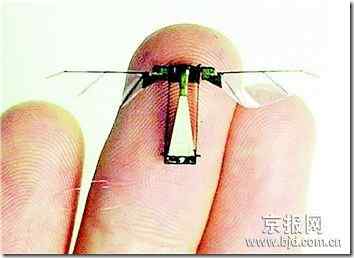 美国研发昆虫飞行器 最怕被鸟类吃掉