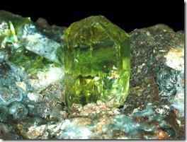 鸟粪富国：瑙鲁