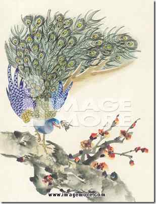 鸟类水彩画大全下载