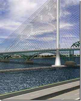 和平大桥取消建设,给鸟让道