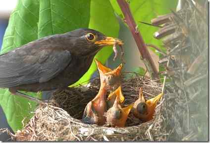 手心手背都是肉，薄厚有不同