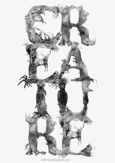 黑白写实鸟类插画