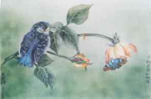 期待幸福的知更鸟