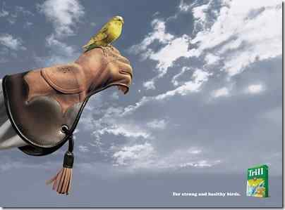 站在猎鹰才能站到的位置