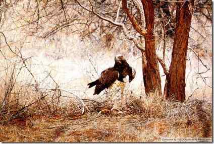 非洲动物写实绘画 非洲战雕