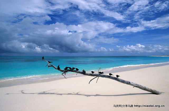 塞舌尔 人间天堂