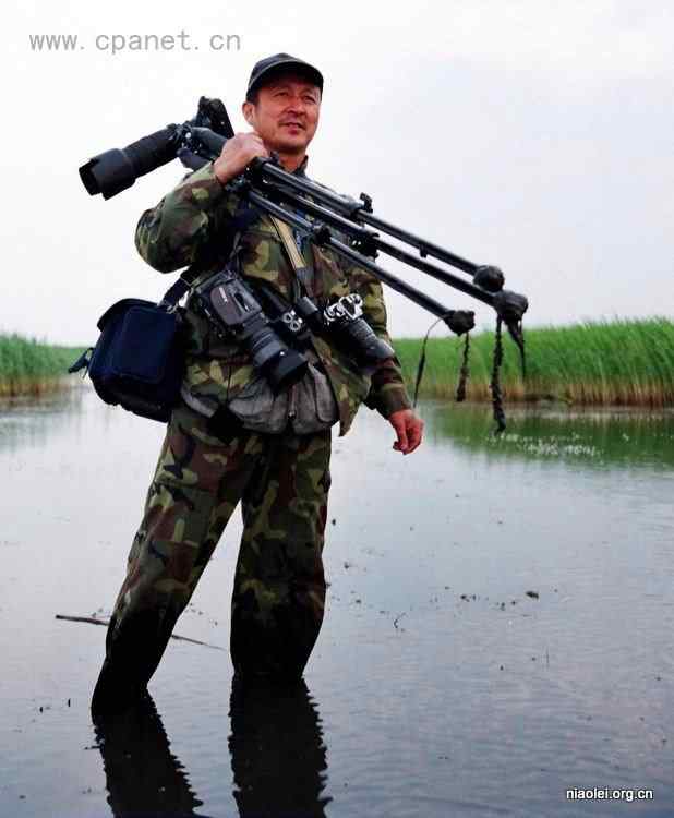 中国著名丹顶鹤摄影家沈立华遗作