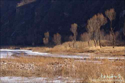 白河峡谷是个观鸟的好地方