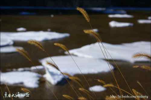 白河峡谷是个观鸟的好地方